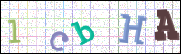 Verificación de la imagen