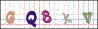 Verificación de la imagen