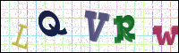 Verificación de la imagen