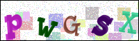 Verificación de la imagen