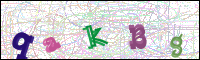 Verificación de la imagen