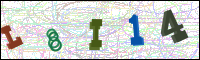 Verificación de la imagen