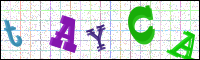 Verificación de la imagen