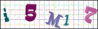 Verificación de la imagen