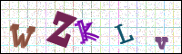 Verificación de la imagen