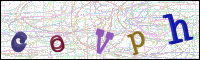 Verificación de la imagen