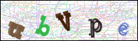 Verificación de la imagen