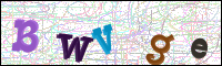 Verificación de la imagen