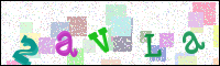 Verificación de la imagen