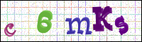 Verificación de la imagen