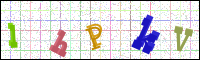 Verificación de la imagen