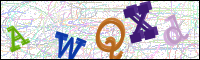 Verificación de la imagen
