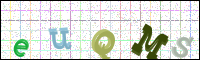 Verificación de la imagen
